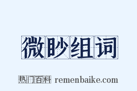 微眇组词是什么意思的图片